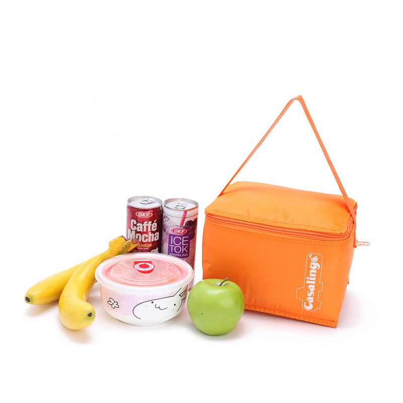 SGC24 Meilleure Qualité Promotion Isolé Zip Fermeture Pliable Fourre-Tout Déjeuner Bière Refroidisseur Sac Mini Glace Glacière Sac